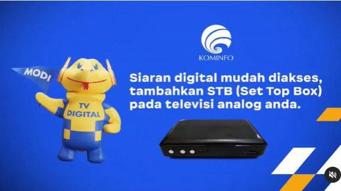 STB_Web.jpg